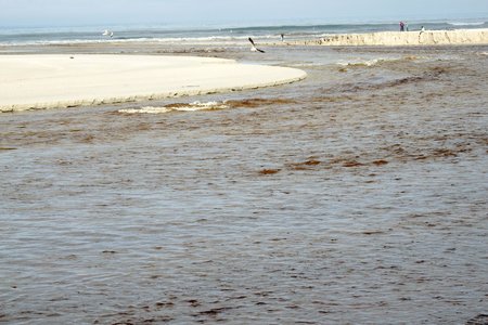 Die Mond van Uilenkraalsmond is weer oop, nadat die water Vrydagnag, 3 Julie 2015 deurgebreek het.  Dit is altyd ‘n welkome en pragtige gesig om te aanskou, veral met die rivier wat in ‘n sterk stroom see toe vloei.